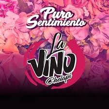 Cd Vinochelapi / Puro Sentimiento 1cd