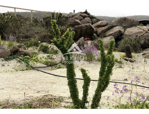 Venta Parcelas Arrayan Costero, La Serena