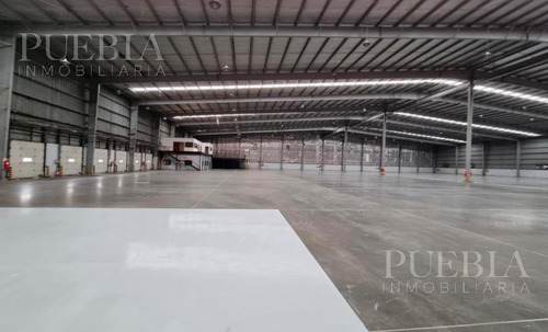 Imagen 4 de 6 de Depósito En Alquiler - Centro Logístico