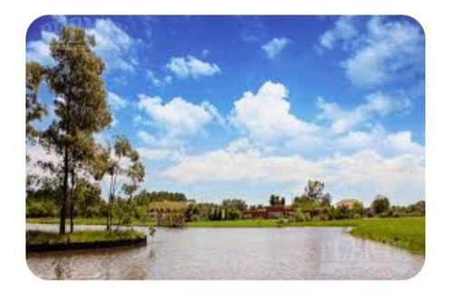Imagen 6 de 12 de Terreno - Fincas De San Vicente Laguna - Lote Con Fondo Al Lago -