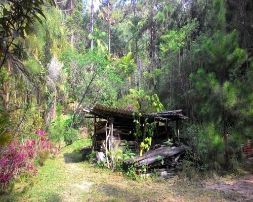 Chácara - 0271 - 32820370