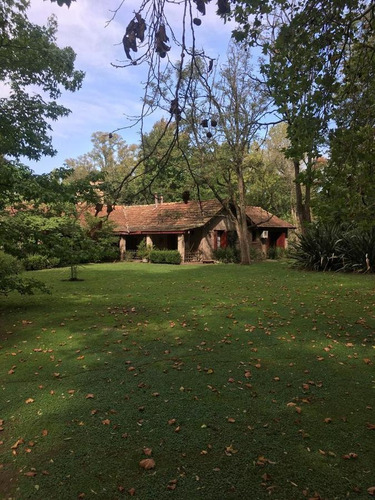 Imagen 5 de 12 de Terreno En Venta - Pilar