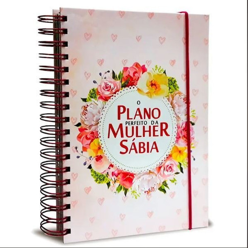 O Plano Perfeito Da Mulher Sábia - Rosa (planner) - Agenda