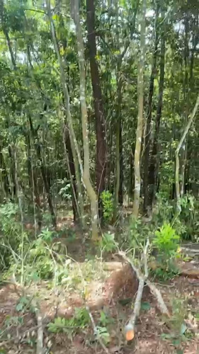 Lote Terreno En La Vega-jarabacoa.