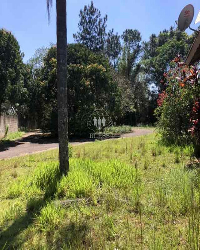 Linda Casa Térrea No Bairro Terra Nova - Ch00147 - 34483884