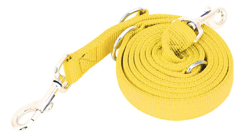 Correa Para Pasear Perros, 2 M, Doble Hebilla, Nailon, Flexi