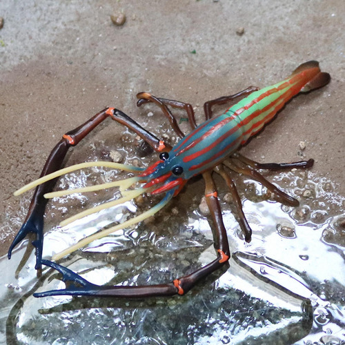 Figuras De Animales En El Océano, Adornos De Juguete Para