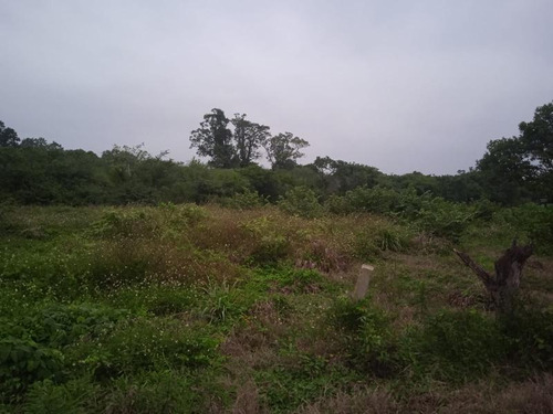 Terreno Venta 1358m² Carr Tuxpan Tamiahua En Tuxpan Veracruz