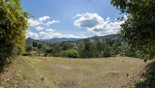 Lote En Venta En Sajonia. Cod V8842