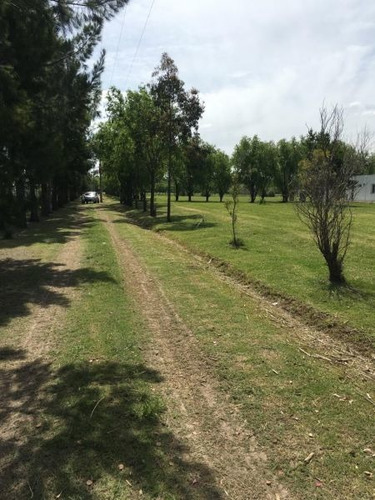 Imagen 8 de 14 de Terreno En Venta En Posadas De Los Lagos