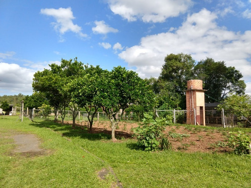 Chácara 8.750 M² - Costa Do Ipiranga - Gravataí - Rs - 2287 - 34670139