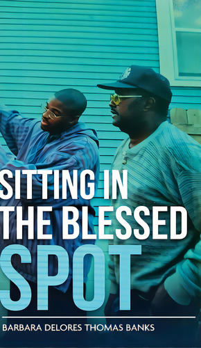 Sitting In The Blessed Spot, De Banks, Barbara Delores Thomas. Editorial White Falcon Pub, Tapa Dura En Inglés