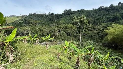 Finca Cafetera En Venta Calarca 14 Cuadras