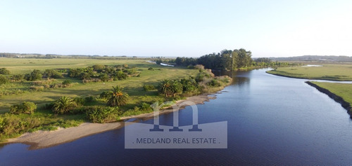 Venta Campo - Lugar Soñado Con Playa Y Palmeras- Ref: 240