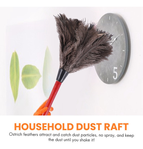 Aspas De Ventilador For Limpiar Plumas De Avestruz, De Vari