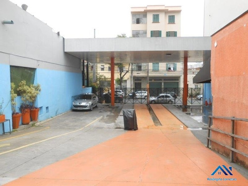 Imagem 10 de 17 de Terreno - Te00026 - 68658983