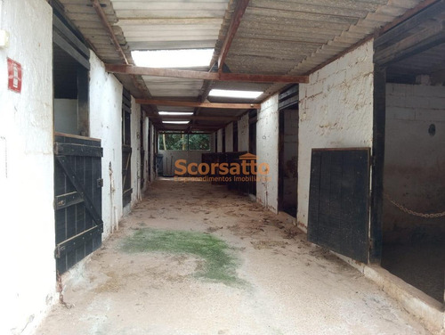 Imagem 11 de 17 de Área Comercial À Venda, Jardim São Marcos, Itapecerica Da Serra/sp. - 5948
