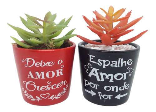 2 Mini Vasinho Para Suculentas Cactos E Flores Artificiais | Parcelamento  sem juros