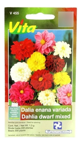 Semillas De Dalia Enana Variada  Sencillas Y Dobles 