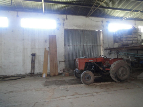 Imagen 5 de 11 de Amplio Galpón Y Casa Sobre Ruta, Terreno De 10.000 M2