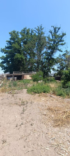 ¡gran Oportunidad! Parcela 10,000m² En La Pintana