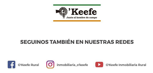 Finca De 23 Has En Venta En Mendoza - Viñedo Premium De Altura