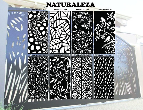 Celosias Catalogo Digital