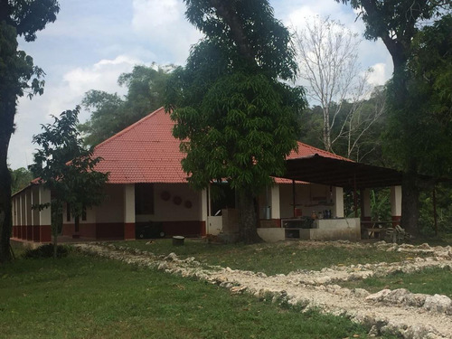 Rancho Forestal Y Ecoturístico En Venta En Palenque, Chiapas