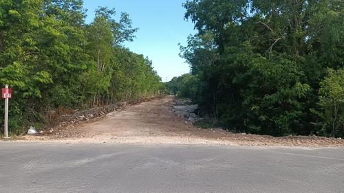 Terreno En Venta - Ave Rogelio Castorena (5000 M2)