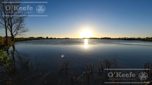 Lote En Venta En Puerto Nizuc - Oportunidad De Inversión En Guillermo Hudson