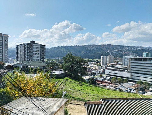 Forestal // Hospital Gustavo Fricke (83174)