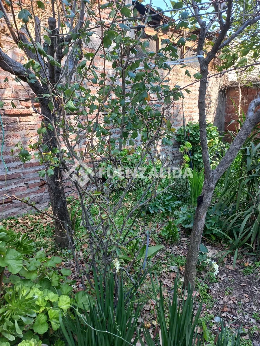 Imagen 5 de 8 de Casa En Venta De 3d 1b, San Ramón