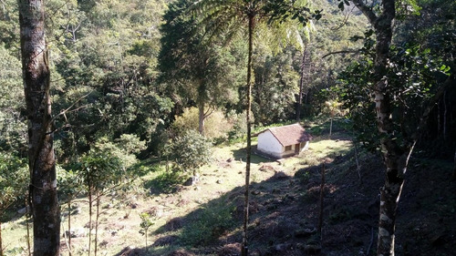 Imagem 13 de 15 de Sítio Para Venda Em Nova Friburgo, Macaé De Cima - 164_2-1193147