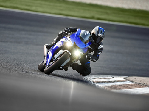 Yamaha R6 Dolar Billete