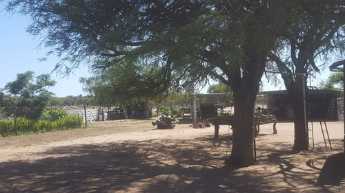 Campo En Venta Villa Quilino - Campo Ganadero Con 2 Casas