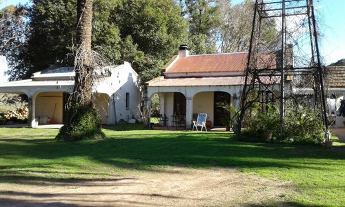 Imagen 11 de 20 de Casa Quinta - Única - En Gualeguay