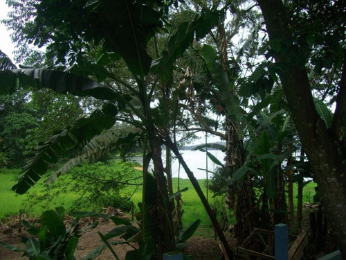 Chácara Com 4 Dormitórios À Venda, 900 M² - Alvarenga - São Bernardo Do Campo/sp - Ch0522