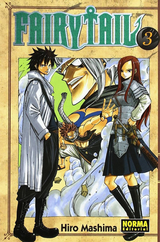 Libro - Fairy Tail 3 