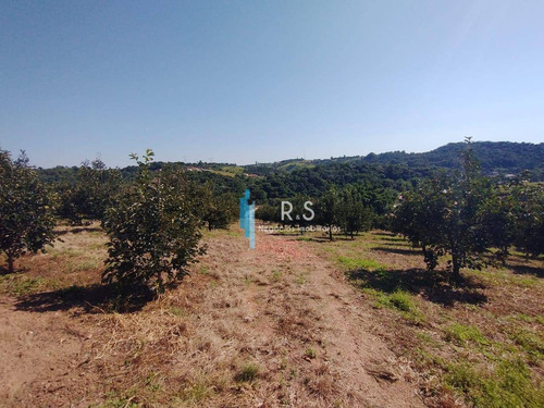 Sítio À Venda, 40000 M² Por R$ 2.000.000,00 - Engenho Seco - Louveira/sp - Si0009