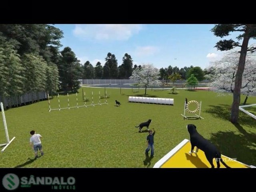 Imagem 17 de 28 de Terreno Para Venda - 11100.2528