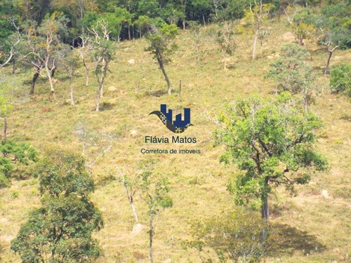 Terreno / Área Para Comprar No Zona Rural Em Jaboticatubas/mg - 547