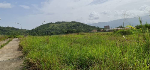 Imagen 13 de 14 de En Venta Terreno Lomas Del Country, Guataparo 453809