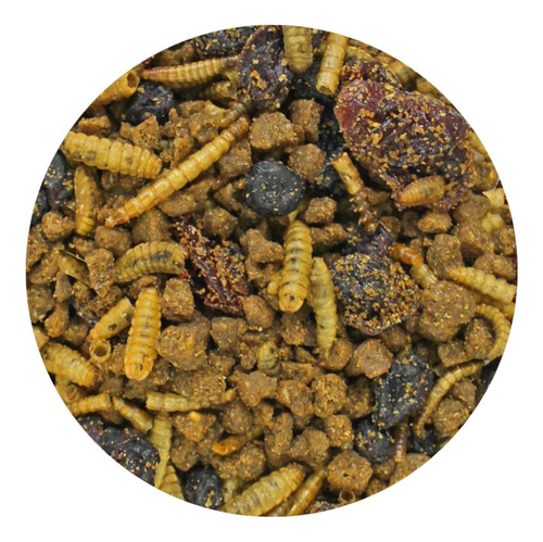 Dieta Insectos Proteina Fibra Frutas Erizos Africanos Aves