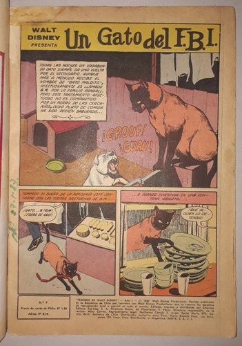 Comic Tesoros De Walt Disney N°7/año:1967/zigzag/un Gato Del (Usado)
