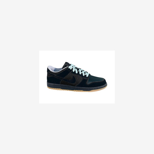 Zapatillas Nike Dunk Low Anthracite Astro 304714-009   