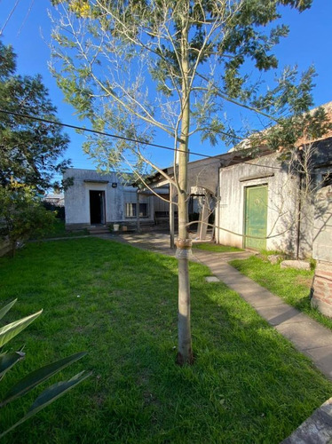 Imagen 5 de 6 de Terreno - Ituzaingó Norte