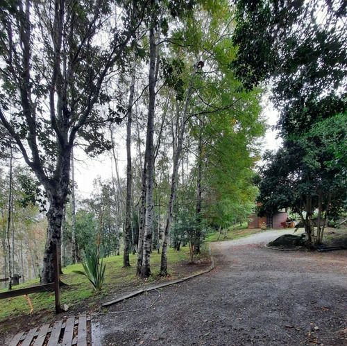 Excelente Parcela Con Gran Casa Amoblada Llifén, Futrono