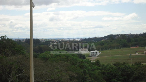 Imagem 5 de 5 de Terreno - Vila Nova - Ref: 59329 - V-59329