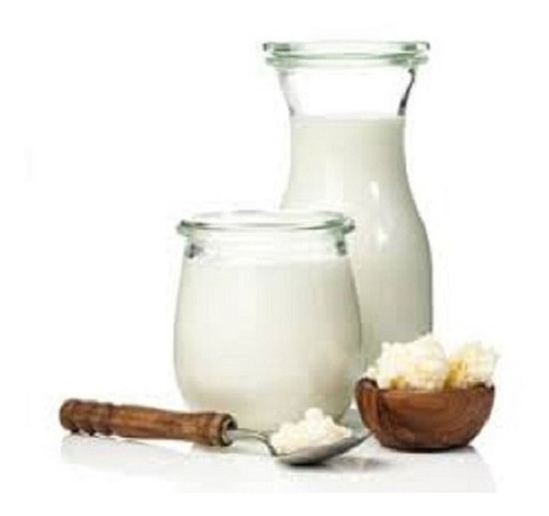 Kefir De Leite Com Manual De Instruções