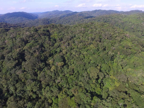 Imagem 10 de 10 de Fazenda Com 256 Alqueires Ideal Para Compensação Ambiental